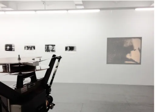 Figure 1: “Paolo Gioli: Volti” (Quando i volti si toccano, 2012;  