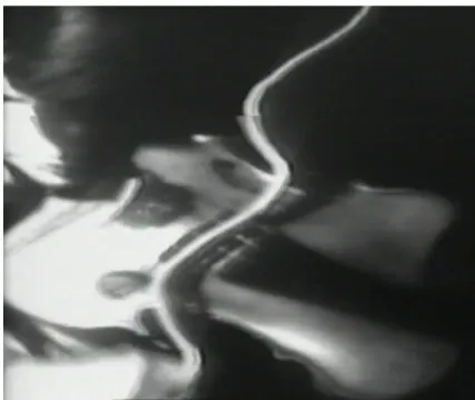 Fig. 3: Steina Vasulka, Video Violin (1970-1978) 