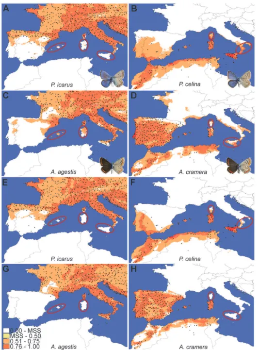 Fig 4. Projection over the study area of the logistic values obtained by MaxEnt analyses (H model) for the four species