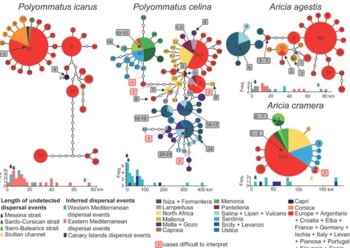 Fig 3. Haplotype networks and evaluation of dispersal events over the sea. Inferred over-sea dispersal events are numbered in grey rectangles, and ambiguous cases that were excluded from the analyses are highlighted in pink squares