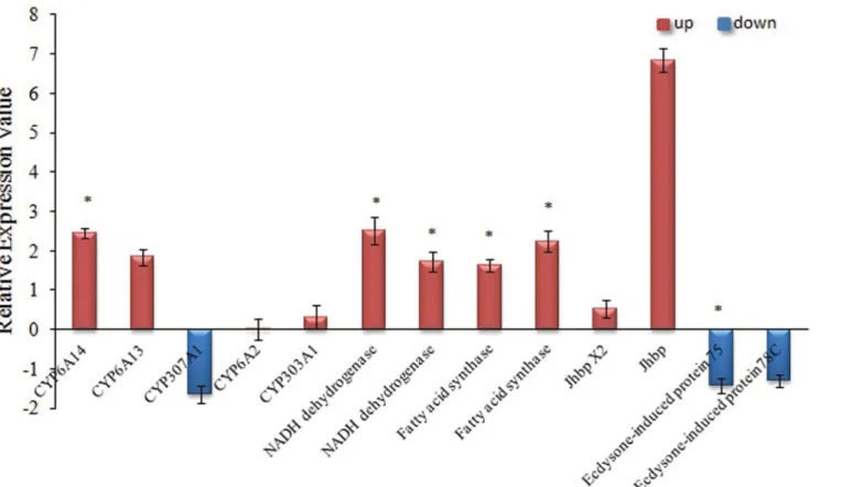 Fig 5. The RT-PCR analysis of genes involved in Cytochrome P450 and Aphids growth. The x-axis indicates thirteen different genes