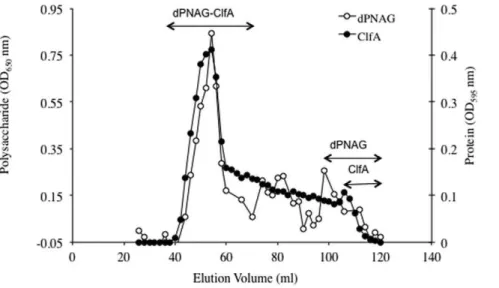 Figure 2. Immunogenicity of dPNAG-ClfA vaccine in mice. Mean titers of IgG antibodies to PNAG and ClfA in sera from mice (n = 10) immunized three times at weekly intervals with 1, 5 or 10 mg of dPNAG 2 ClfA conjugate vaccine or dPNAG mixed with ClfA (dPNAG