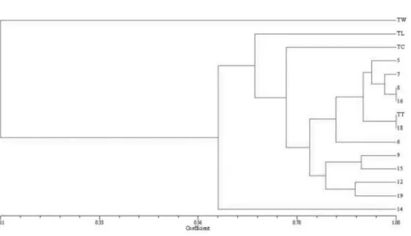 Figure 2 Dendrogram of 19 Tilletia genotypes derived from UPGMA analysis . 