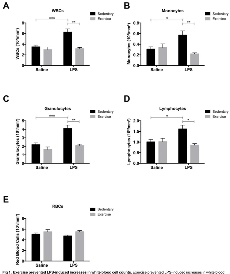 Fig 1. Exercise prevented LPS-induced increases in white blood cell counts. Exercise prevented LPS-induced increases in white blood cell (leukocyte) counts measured in blood samples collected on GD 17.5 (A)