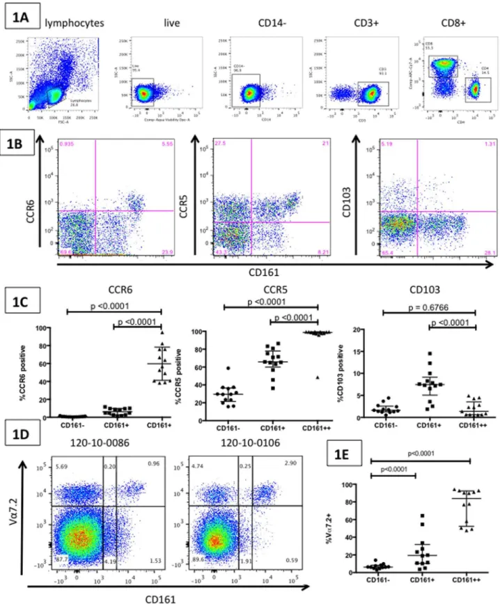 Figure 1. CD161 ++ CD8 + MAIT cells have a distinct phenotypic profile. Figure 1A: Depiction of the gating strategy used throughout: