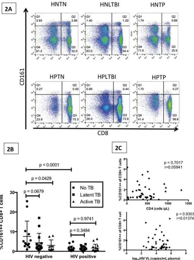 Figure 2. Impact of HIV and TB mono- and co-infection on CD161 ++ CD8 + T cell frequencies