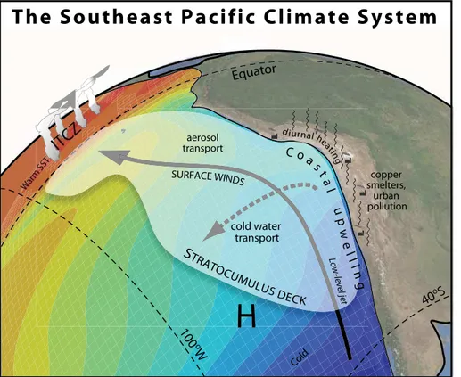 Fig. 1. Key features of the southeast Pacific (SEP) coupled climate system being explored in the VOCALS Program.