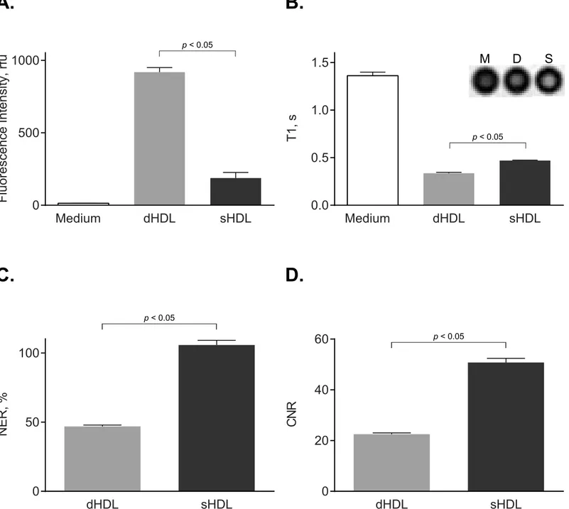 Fig 1. J774A.1 cell studies demonstrate uptake of paramagnetic and fluorescent HDL by macrophages in vitro 