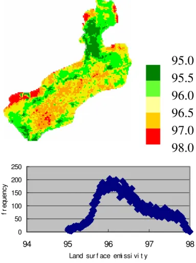 Fig. 3. (a) Image of emissivity. (b) Histogram of surface emissivity.