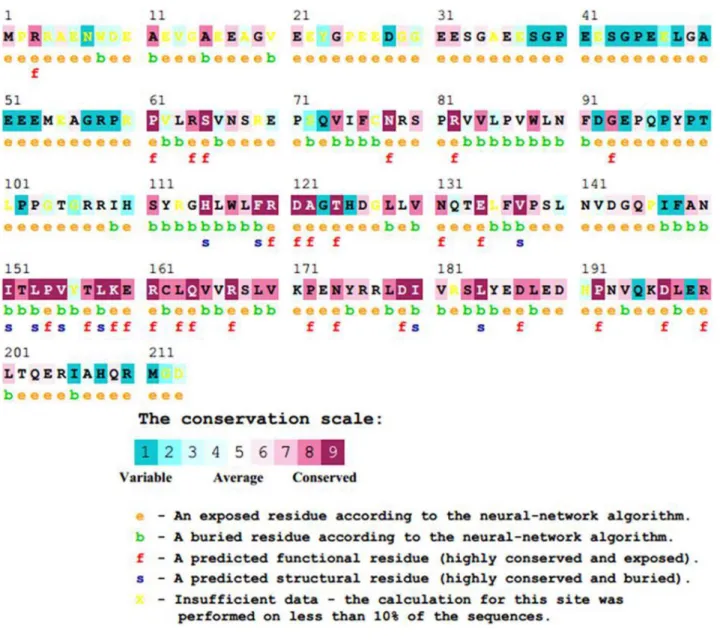 Table 1. Prediction of deleterious effect in p.Arg82Leu variant using in silico prediction tools.