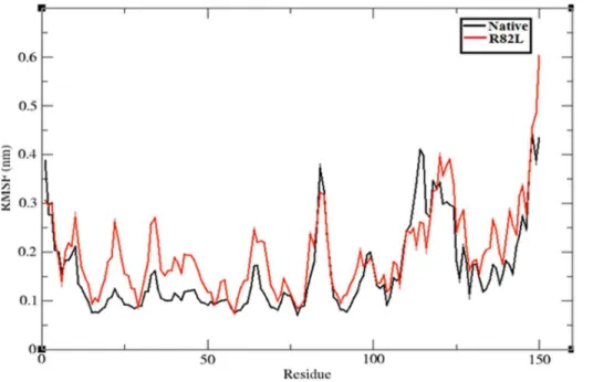Figure 8. Average number of inter molecular hydrogen bonds in the native (Black color) and mutant protein p.Arg82Leu (Red color)