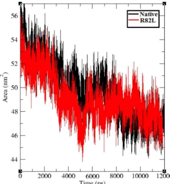 Figure 10. Solvent accessible surface of the native (Black color) and mutant protein p.Arg82Leu (Red color) over the entire simulation.