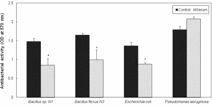 Fig. 1 Serum antibacterial activity against bacterial colonies (Bacillus sp. N1, Bacillus flexus N3, Escherichia coli  and  Pseudomonas aeruginosa) isolated from the scraps of injured/wounded cuticle of the mud crab, Scylla  serrata