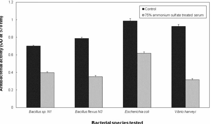 Fig. 6 Effect of protein precipitating agent (75 % ammonium sulphate) on serum antibacterial activity of the mud  crab, Scylla serrata