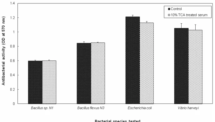 Fig. 7 Effect of protein denaturing agent (10 % TCA) on serum antibacterial activity of the mud crab, Scylla  serrata
