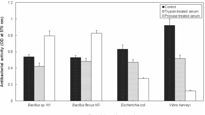 Fig. 8 Effect of proteases on serum antibacterial activity of the mud crab, Scylla serrata