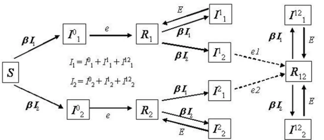 Figure 1. SIR model with reinfection and selection. I i ,j means a host that has been infected with the i th strain and is currently carrying pathogen strain j