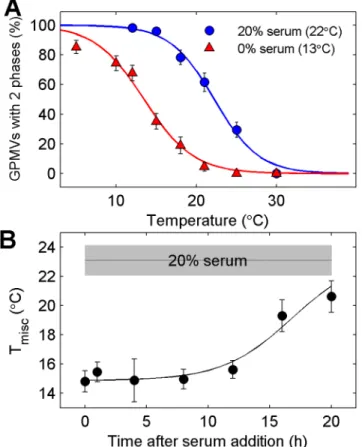Fig 3. Transition temperatures are reduced in cells with arrested growth due to serum starvation