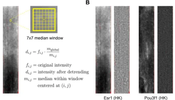Figure 5. Spatial detrending. (a) A 76 7 median window is used to rescale probe intensities