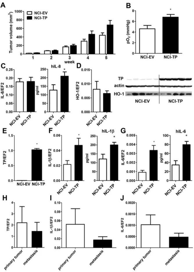 Figure 5. Effect of TP overexpression on NCI-H292 xenograft tumor growth and data from clinical NSCLC samples