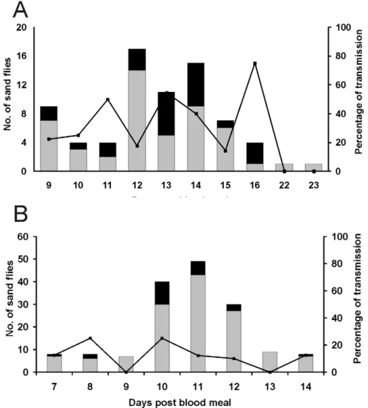 Table 2. Average feeding time of infected and noninfected P. perniciosus and L. longipalpis.