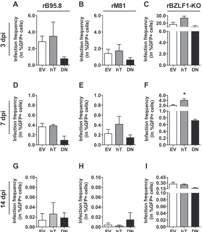 Fig 5. Infection frequencies of AGS cell lines upon infection with different EBV strains