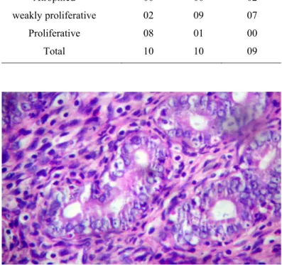 FIGURE 1 - Photomicrograph showing primary follicles in ovarian stromal area of an Uncaria Group sample