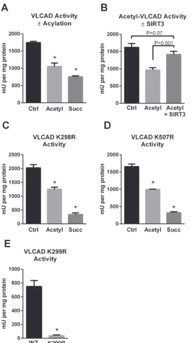 Fig 3. The SIRT3/SIRT5 target site K299 is critical for FAD binding and VLCAD activity