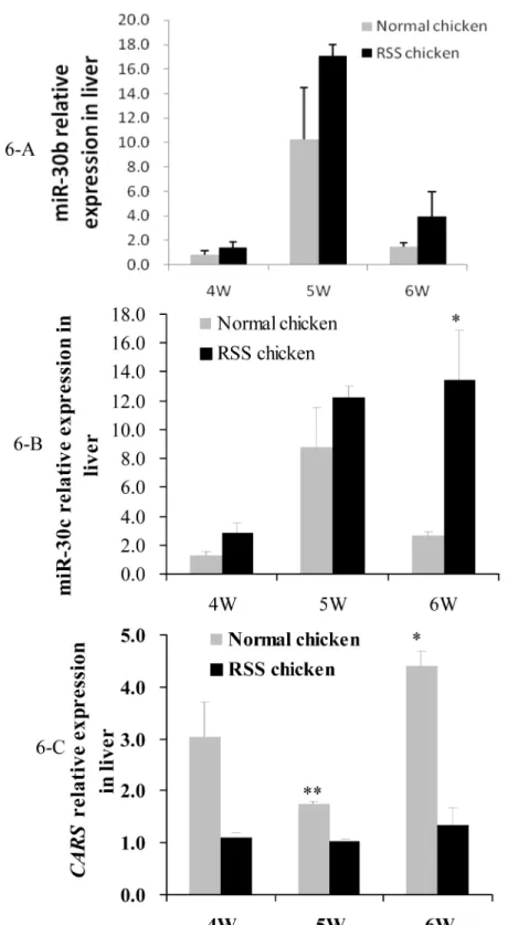 Fig 6. Comparison of the miR-30b/c and CARS expression in livers of RSS and normal chickens at 4, 5 and 6 w of age