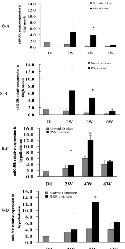 Fig 8. Comparison of miR-30b/30c expression in thigh muscles and hypothalami of RSS and normal chickens at day 1 (D1), 2, 4 and 6 w of age