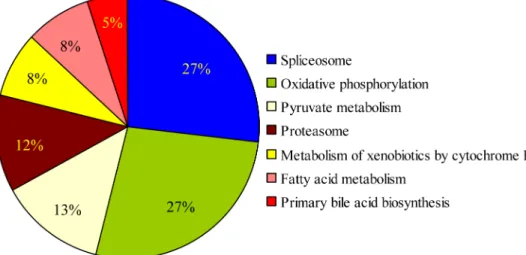 Fig 4. The distribution of matches to gene ontology categories. In total, 1159 differentially expressed genes, identified using the DAVID v6.7, MAS3.0 and BGI-Cloud annotation tools, were enriched in seven pathways.
