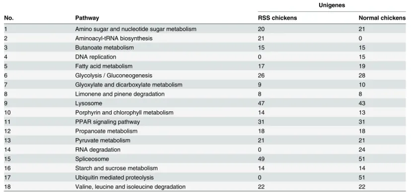 Table 5. The involvement of antisense genes in pathways predicted by KEGG enrichment analysis.