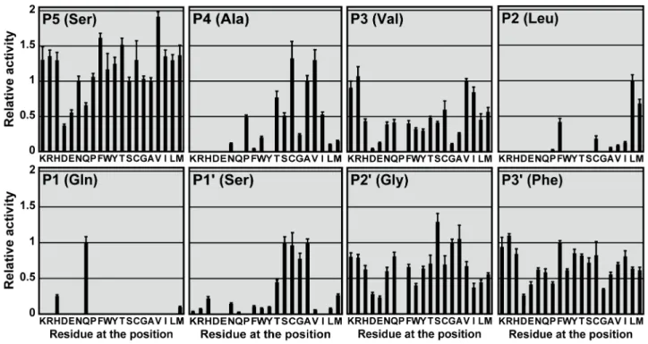 Figure 2. Profiling the substrate specificity at P5 to P3’ positions. 19|8 single substitution variants were created by saturation mutagenesis of the autocleavage sequence at P5 to P3’ positions