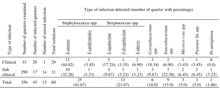 Table 3: Relative frequency of different type of mastitis pathogens in clinical and sub clinical infections