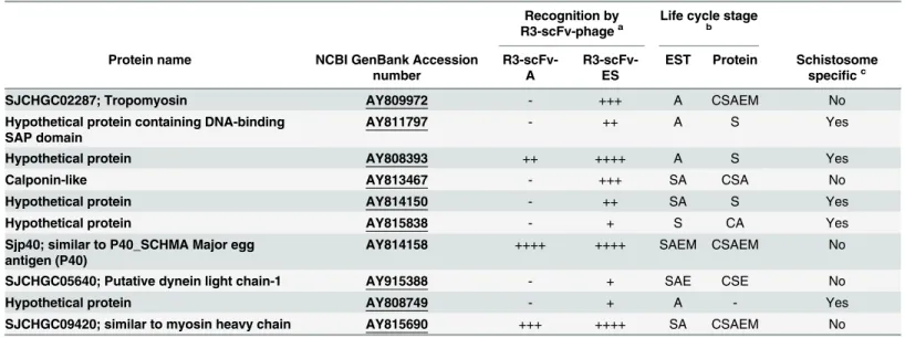 Table 1. Schistosoma japonicum protein microarray antigen recognition by buffalo portal-round three selected (Bp-R3) single-chain antibody Fv domain (scFv) phages.