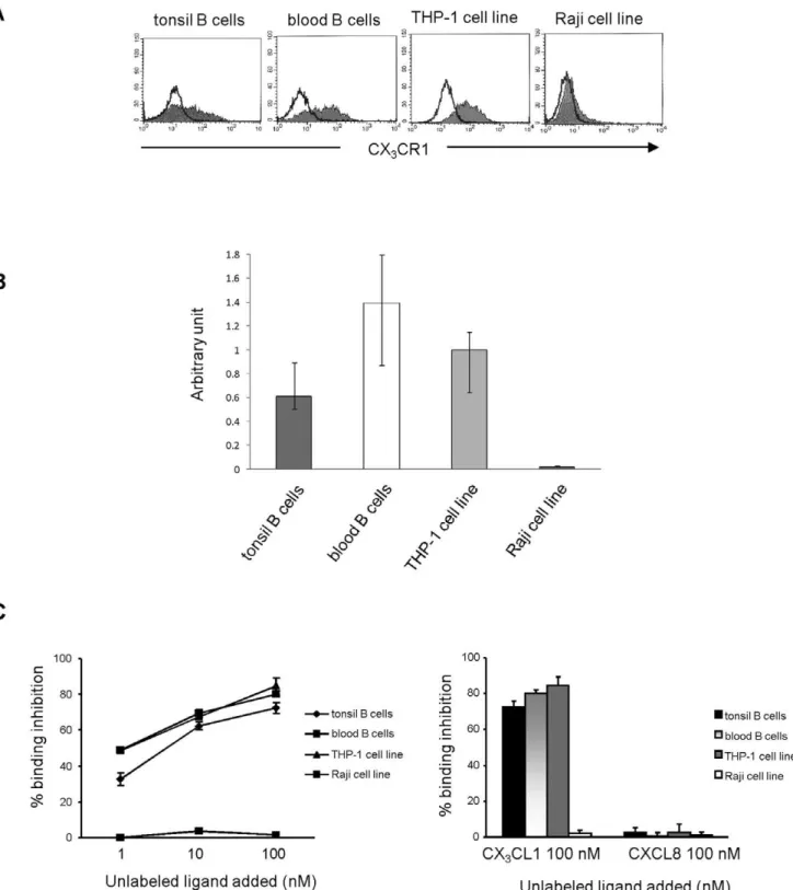 Figure 1. Expression of CX 3 CR1 in tonsil and blood B cells. (A) Flow cytometric analysis of CX 3 CR1 expression in tonsil and blood B cells.
