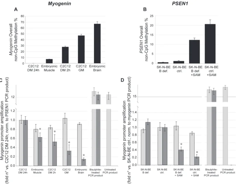 Fig 2. MethPrimers amplification efficiency is affected by DNA methylation. a) Myogenin and b) PSEN1 overall non-CpG methylation