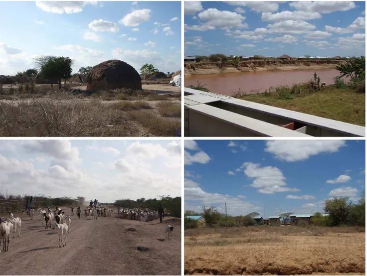 Figure 1. Pictures of Masalani. Left upper, Gumarey homestead; Left lower, local herd; Right upper, Sogan-Godud homestead; Right lower, view of Masalani town and Tana River from Masalani bridge.