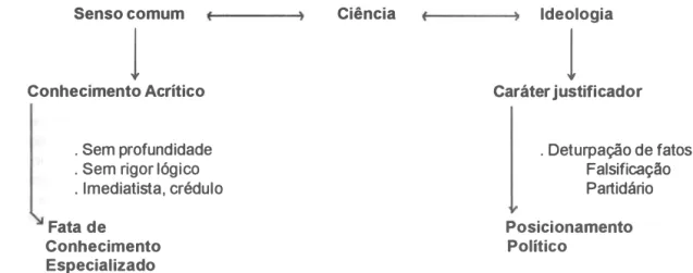 FIGURA 1  - Ciência como Processo 