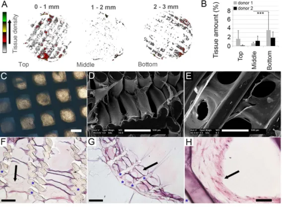 Fig. 4. Processed images can be analysed to quantify tissue formation with high spatial resolution throughout the 3D construct