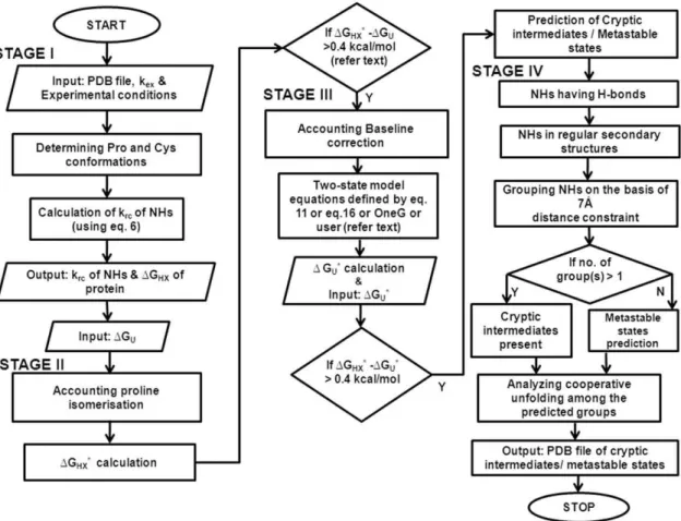 Figure 1. Flowchart of OneG used to predict cryptic intermediates of proteins. Flowchart outlines key-steps used to account the discrepancy between the DG U and the DG HX and to predict the possible existence of cryptic intermediates/metastable states of p