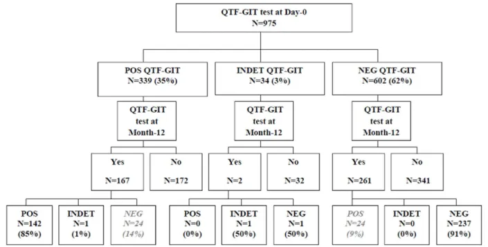 Figure 1. Flow chart. POS: Positive QuantiFERON TB Gold in-tube test; NEG: Positive QuantiFERON TB Gold in-tube test; INDET: Indeterminate QuantiFERON TB Gold in-tube test.