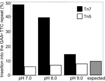 Figure 2. Preferential insertion into the (GAANTTC) 108 repeat by Tn7 is pH dependent