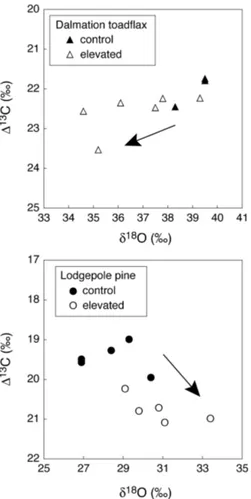 Fig. 3. Correlation between 13 C discrimination ( ∆ 13 C) and the δ 18 O of bulk leaf material in dalmation toadflax and lodgepole pine