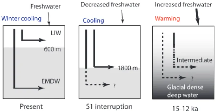 Figure 6. Schematic ventilation patterns in the eastern Mediter- Mediter-ranean Sea at present, S1 interruption and 15–12 cal ka BP.