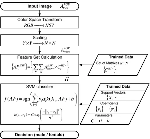 Fig. 7.  The scheme of the proposed gender classification algorithm. 