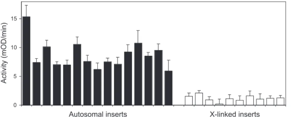 Figure 4. Expression Levels of Autosomal (Solid Bars) and X-Linked (Open Bars) Insertions of the Two ocn-lacZ Transformation Vectors Shown in Figure 1