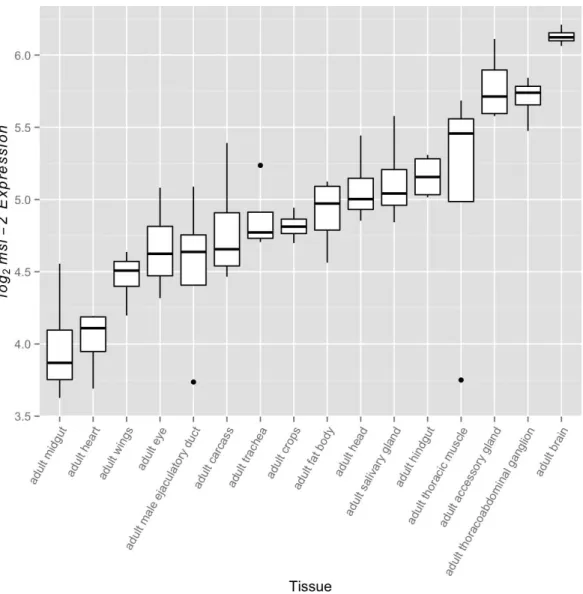 Figure 2 msl-2 expression variation among somatic tissues. msl-2 expression estimates were retrieved for all four FlyAtlas replicates for each tissue