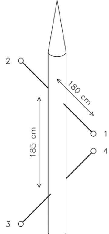 Fig. 1. Schematic diagram for the positioning of the probes on some instrumented rockets, with length scales relevant for the present analysis of data from the ROSE experiment (Rose et al., 1992).