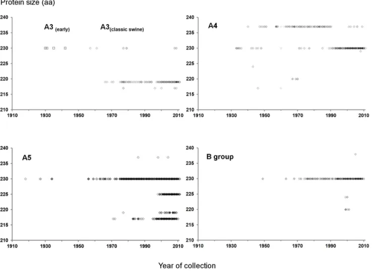 Figure 3. Length diversity of encoded IAV NS1 from 1910 to 2011. Only sequences in db4535 with canonical NS1 protein sizes were considered